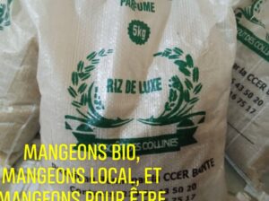 Riz cultiver au Bénin